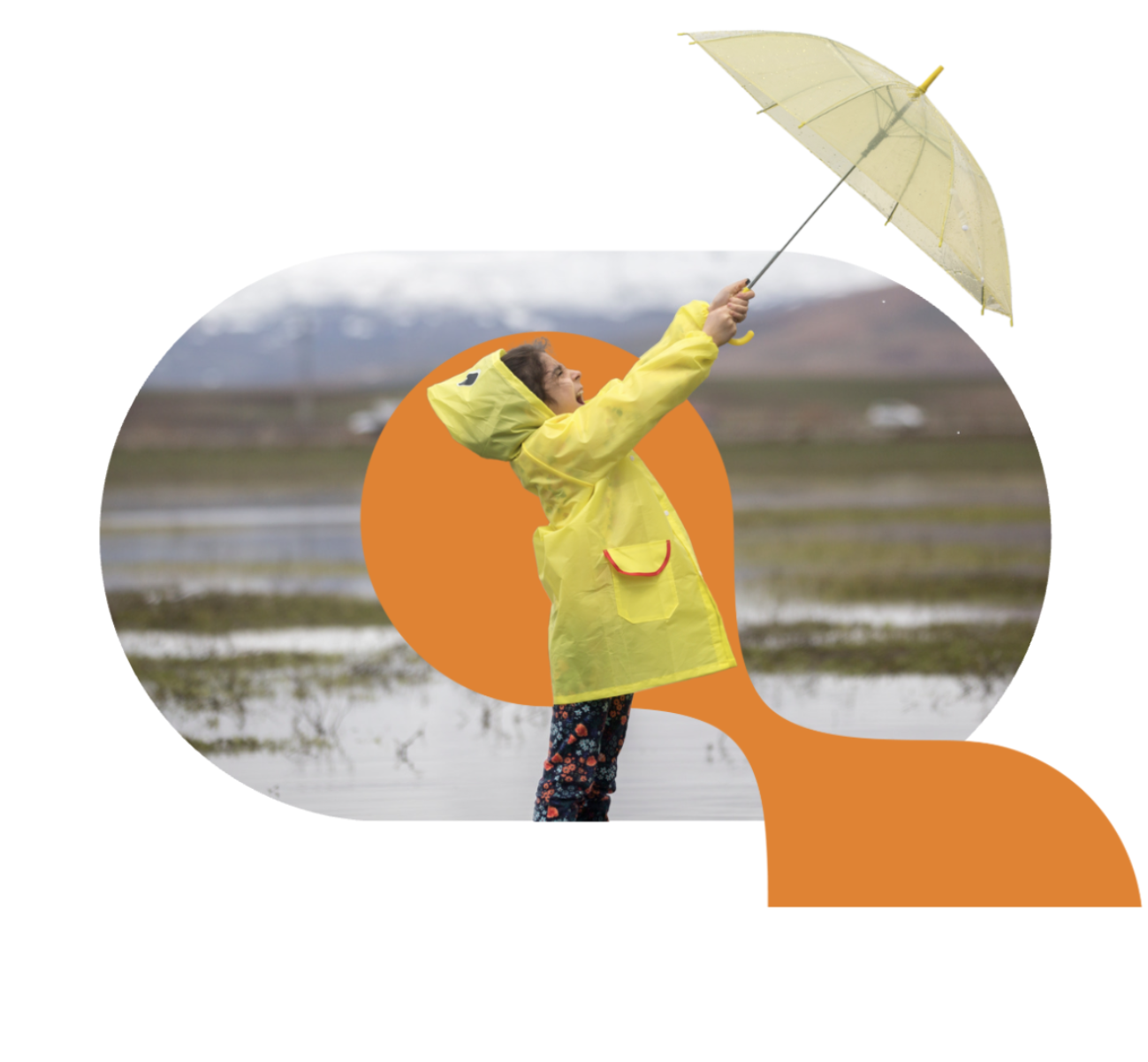 umbrella